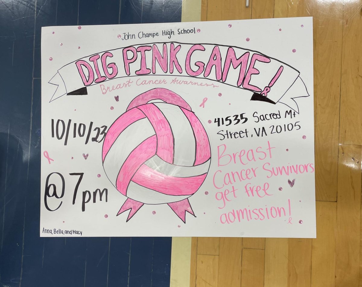 Dig Pink Poster made by varsity volleyball players to decorate the gym and spread awareness. 