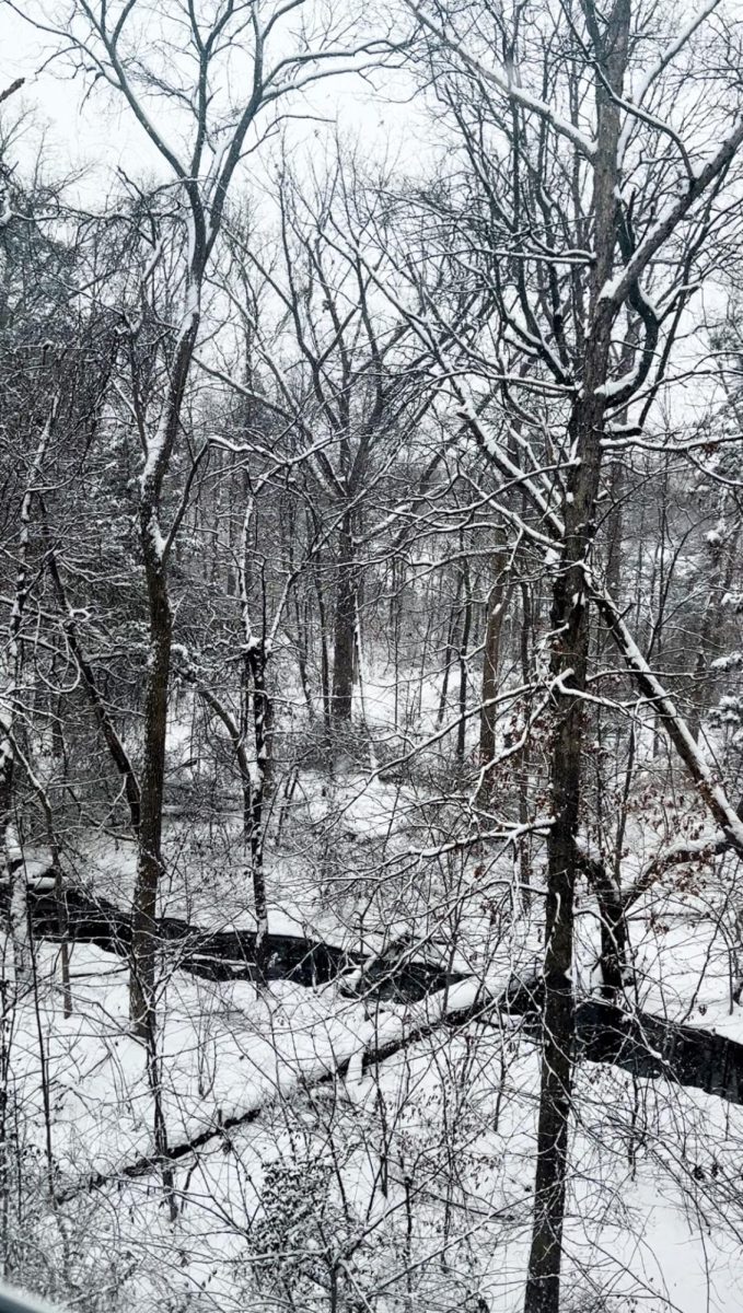 Early morning on the first day of snowfall on Tuesday.