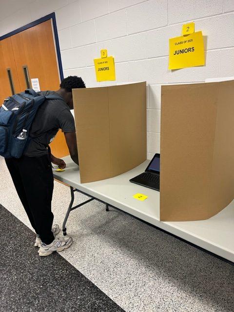 A student voting in the elections. 