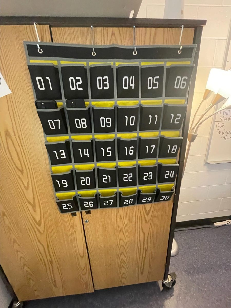 An image of a phone cubby in Ms. Reeds advisory class. It has been mandatory for students in Ms. Reeds class to put their phones in the cubby before class begins.
