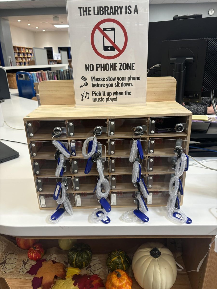 This is the new library's phone bin and their policy regarding the phones. The policy has been enforced since they opened.