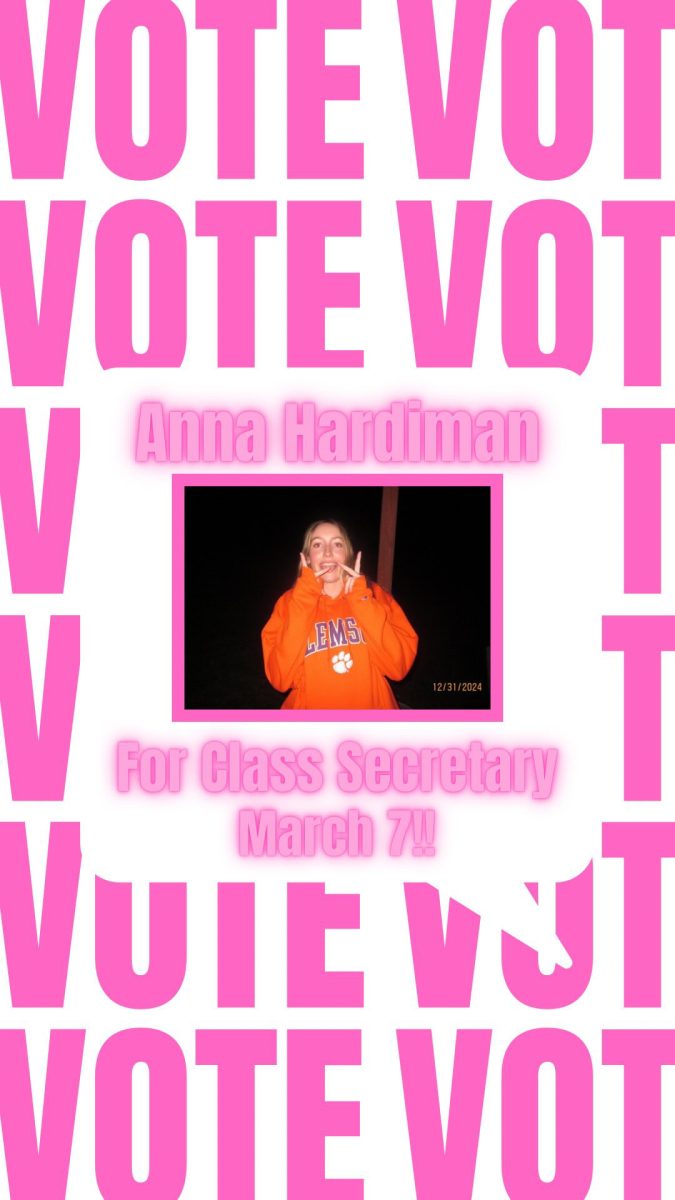 One of junior Anna Hardiman’s campaign posters for class secretary this year.